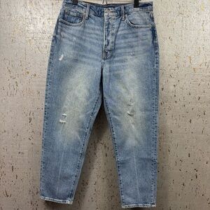 Lucky Brand Los Angeles High Rise Mom Jean, Drew Authentic series BRAND NEW TAGS